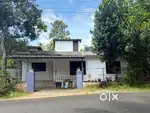 House for sale / rent