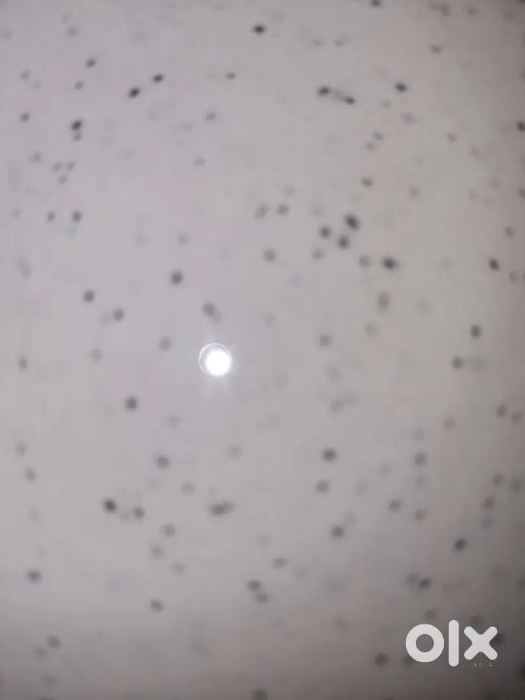 Retail staff cashier