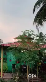 6 katha Garden