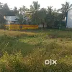 மனை விற்பனைக்கு தஞ்சாவூர் பெஸ்ட் ஸ்கூல் அருகில்  விலை சதுர அடி  1950