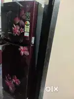 LG Fridge Double Door