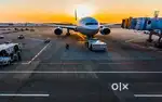 Candidate required for airport job