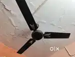 Polycab ceiling fan good condition