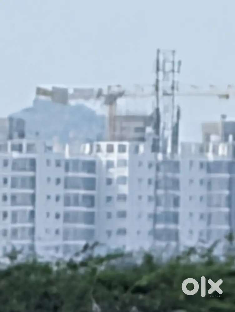 Tele caller only ladies