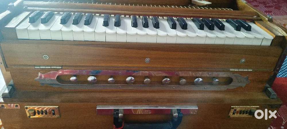 Professional harmonium