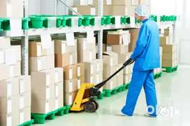 MEDICAL WAREHOUSE PACKING/HELPER/JOB IN WAREHOUSE IN LUCKNOW LOCATION.
