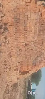 All bricks