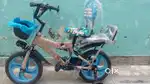 Brand new cycle for kids 1 to 6 yrs
