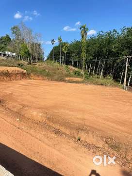 Land for sale in nellipally highway side