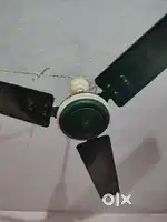 Ceiling fan