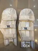 SS Matrix Professional batting pads