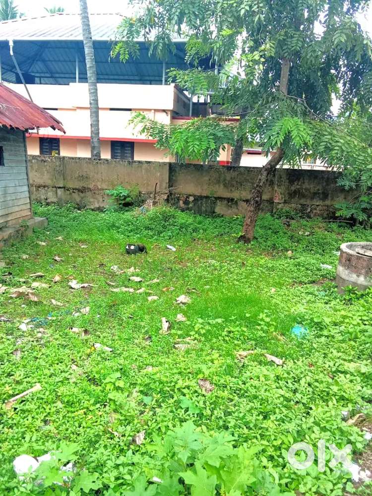 6.5 cent, Corporation Area,  Near Randamkutty.