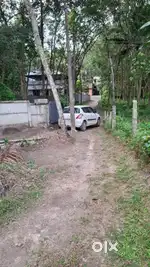 House plot for sale chempakamangalam only 500 mtr from NH 66