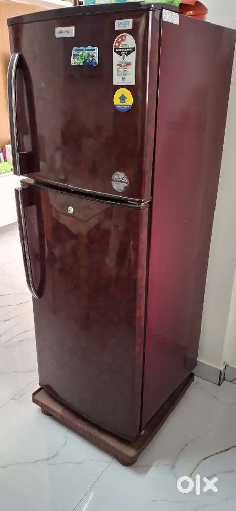 Electrolux 230 litre double door fridge