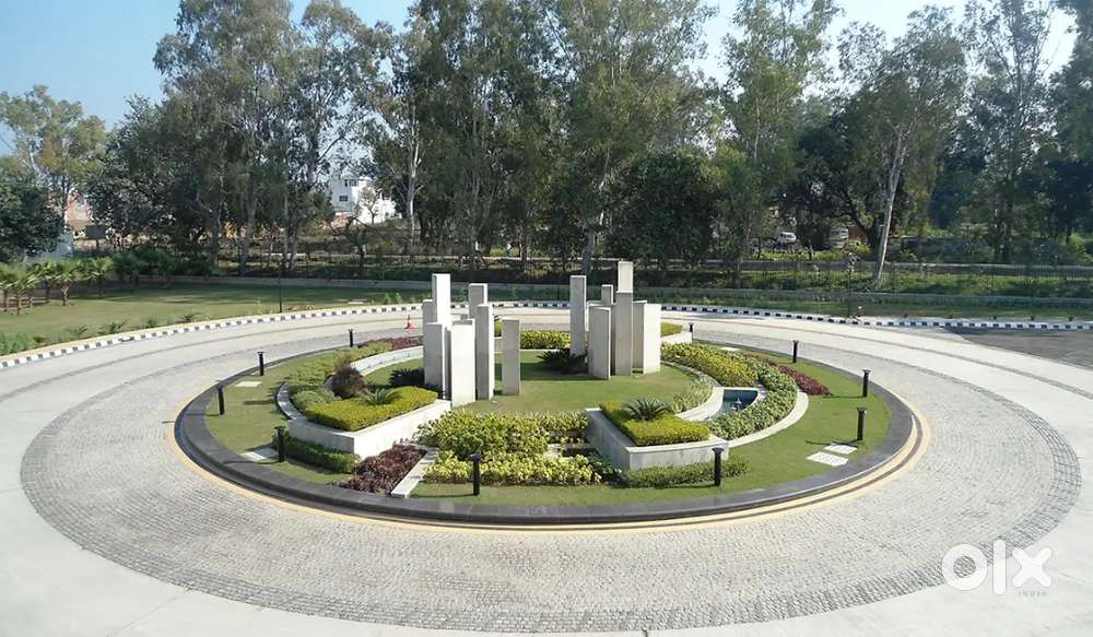 Plot in Alpha International City