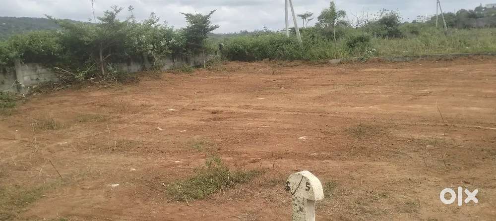 Thirumala hills 353 SQ YARDS PLOT FOR SALE