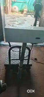 100 kg wait scale