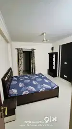2 BHK flat in apartment fully furnished fully independent