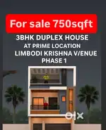 Best option for investment and also for stay