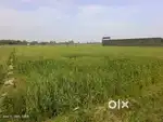 शेखाझील पर्यटन स्थल व आईटीआई कॉलेज के बराबर मौके की जमीन बिकाऊ है