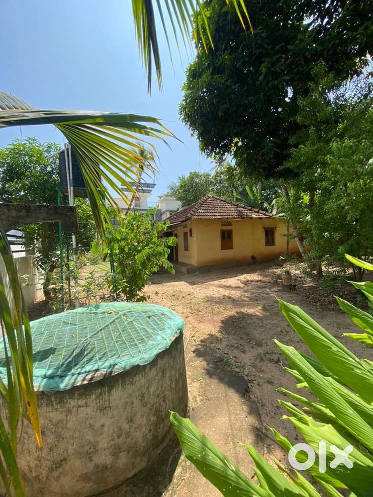 10.5 Plot for Sale at Mangad Kollam