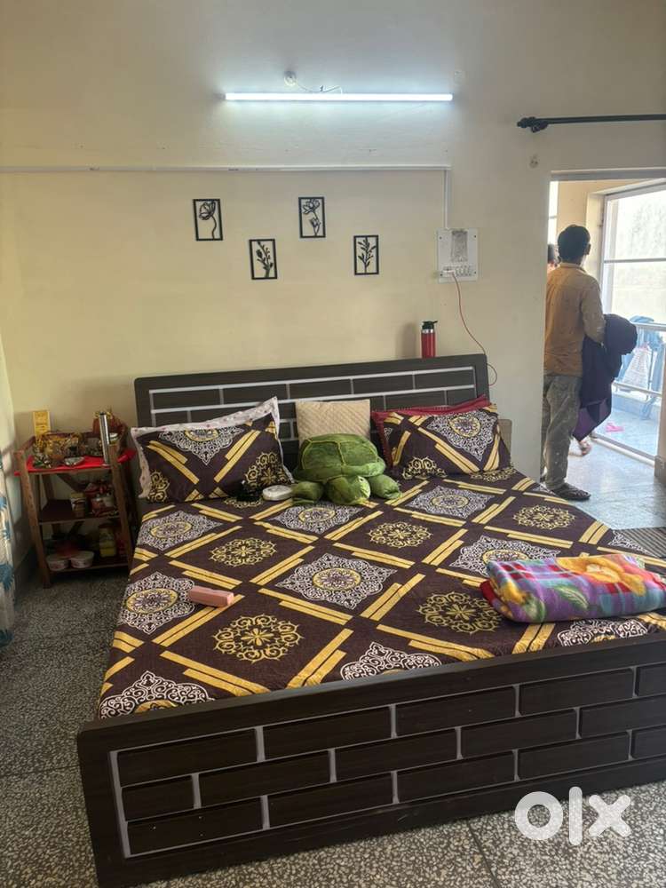 Luxurious pg for girls on twin sharing basis