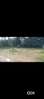 30cents land sale near Talapady toll gate per cents 2.85 lakhs