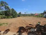 PLOT FOR SALE - 2 LAKHS ONWARDS  ( KANNANCHIRA PULLATTUPADI MAIN ROAD)