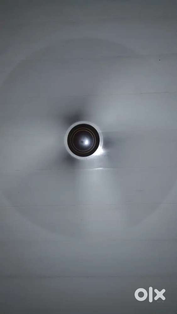 Ceiling fan