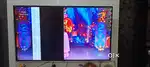 Mitashi tv