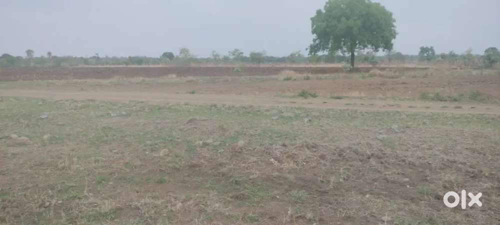 Urgent- Farmhouse mundla chowk, ratibad, मुंडला जोड़ से 2 मिनट की दूरी