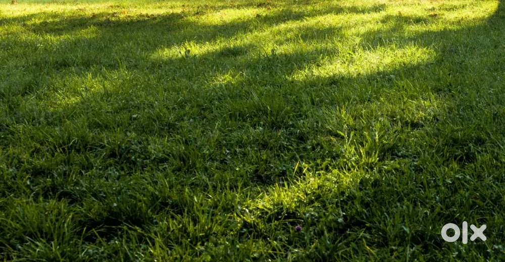 LAND FOR SALE IN PANDALAM