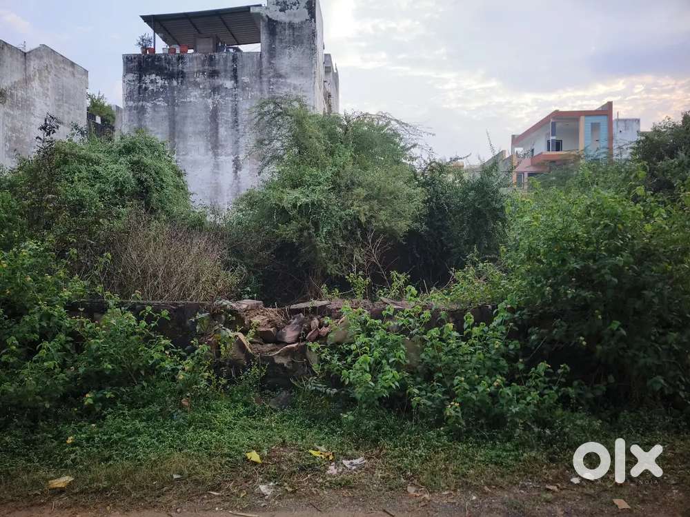 बहुत शानदार लोकेशन है प्लॉट की 1000 ब्लू लोटस में सिटीसेंटर