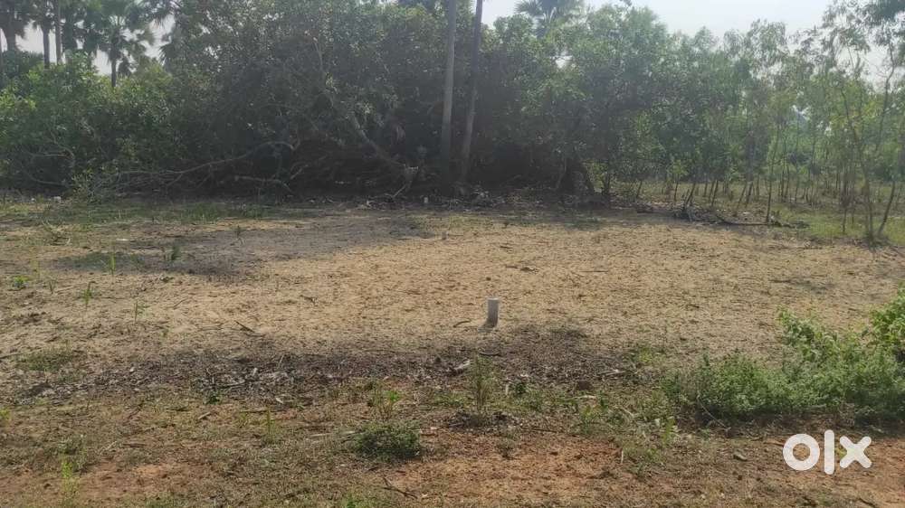 MY OWN LAND FOR SALE IMMEDIATELY