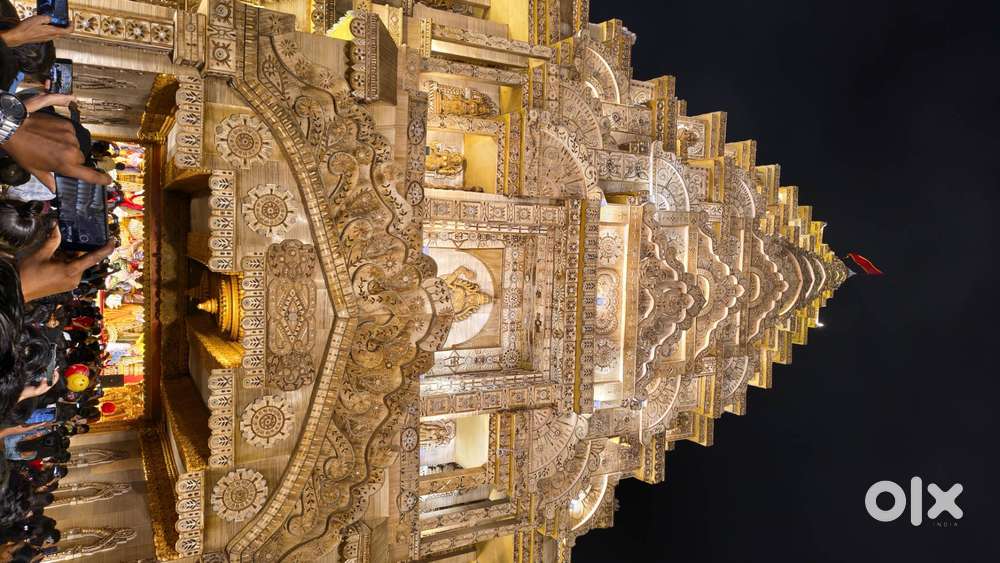 Want a bachelor roommate