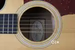 TAYLOR 214ce QM DLX ACOUSTIC GUITAR,Genuine Buyers Only.
