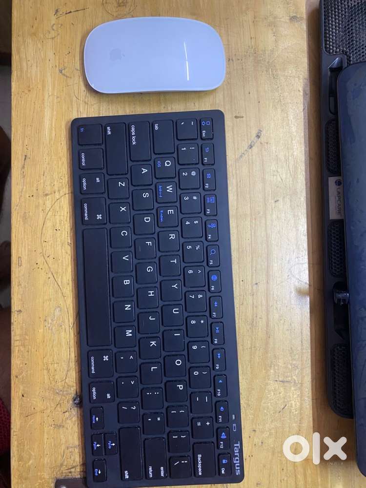 Keyboard and Apple mouse 2