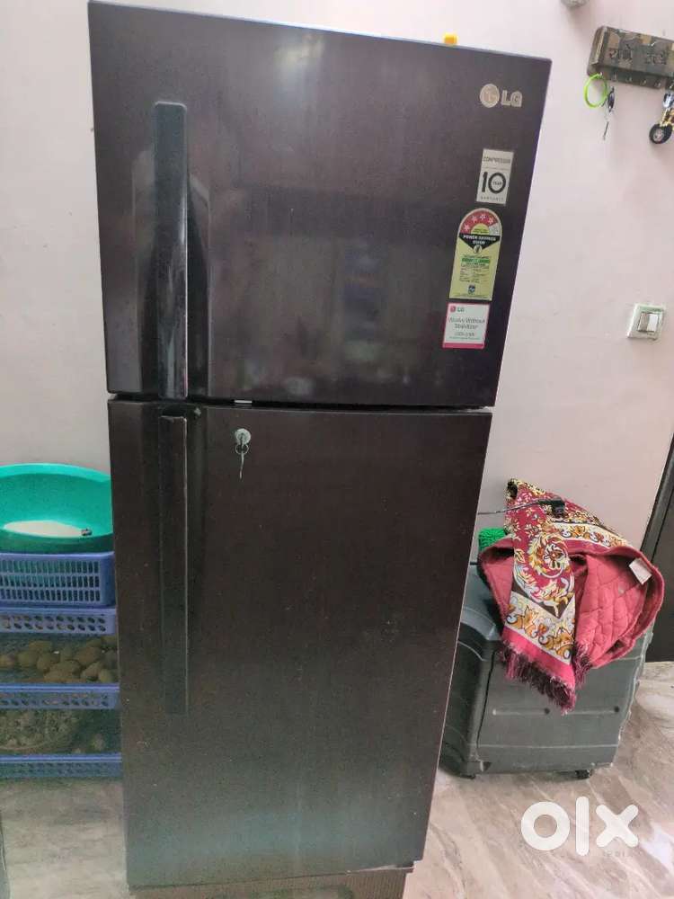 Refrigerator Fridge