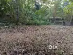 CHARMOODU LAND FOR SALE IN KERALA