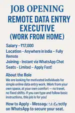 DATA ENTRY JOBS – WORK FROM HOME (WFH)  No fixed working hours – Work