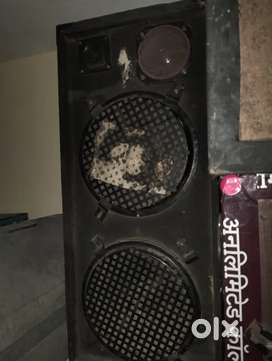 Good condition dear