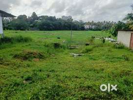 PUKKATTUPADY TOWN 15 CENT SUITABLE FOR LUXURY VILLA / APARTMENT