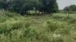 52 ডেসিমিল 1 বিঘা