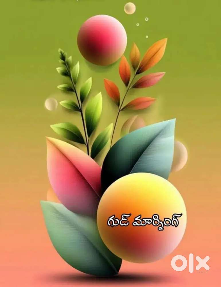 2bhk for bachelors immediately available