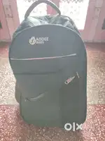 Only 1 month old College Beg