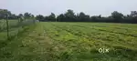 Agricultural land for sell near kinkhlod borsad