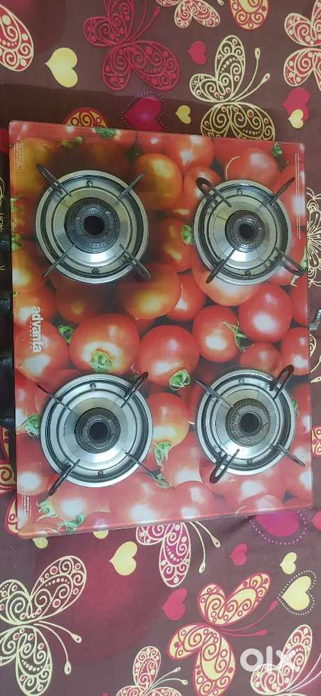 Advanta Premium 4-Burner Gas Stove