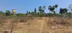 50 cents for sale housing land