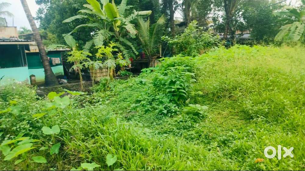 7 cent land near Airport.