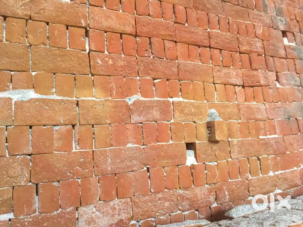 MNB  bricks